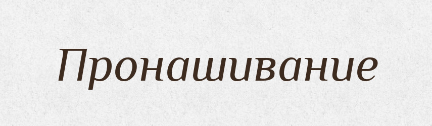 Пронашивание — Російсько-український академічний словник (А–П)