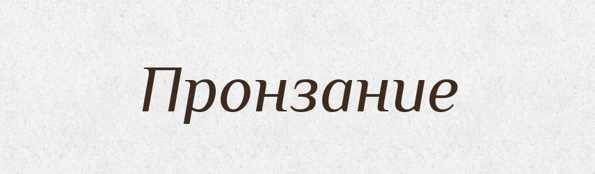 Пронзание — Російсько-український академічний словник (А–П)
