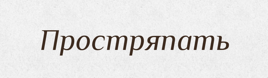 Простряпать — Російсько-український академічний словник (А–П)