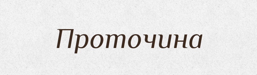 Проточина — Російсько-український академічний словник (А–П)