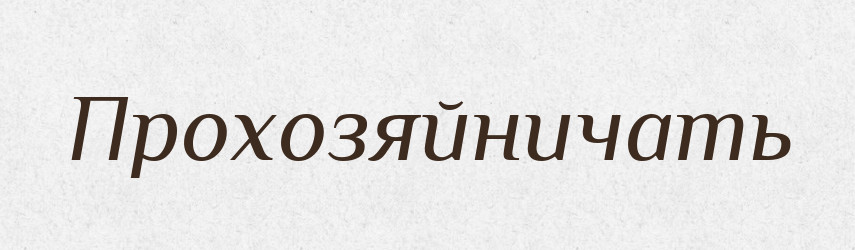 Прохозяйничать — Російсько-український академічний словник (А–П)