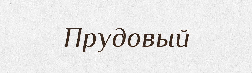 Прудовый — Російсько-український академічний словник (А–П)
