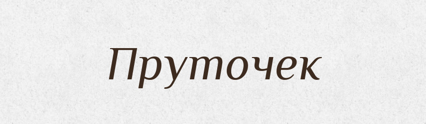Пруточек — Російсько-український академічний словник (А–П)
