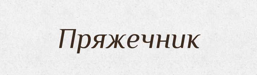 Пряжечник — Російсько-український академічний словник (А–П)