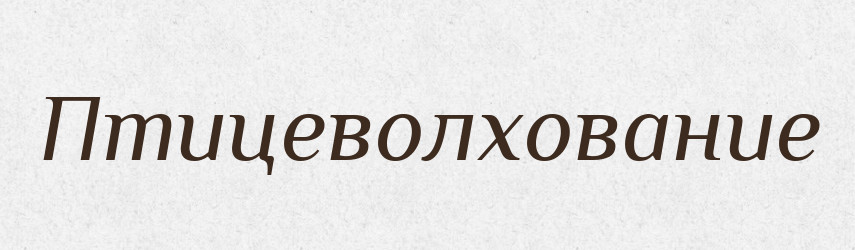 Птицеволхование — Російсько-український академічний словник (А–П)