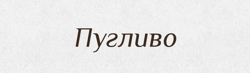 Пугливо — Російсько-український академічний словник (А–П)