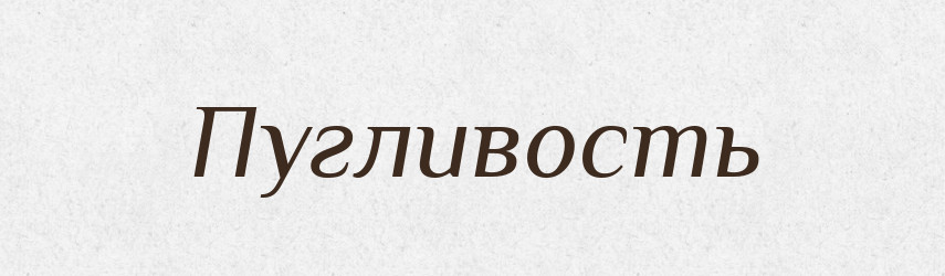 Пугливость — Російсько-український академічний словник (А–П)
