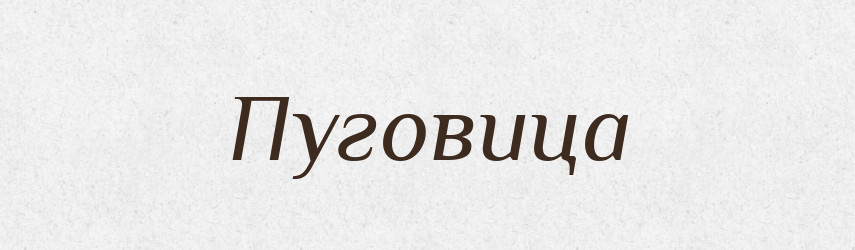 Пуговица — Російсько-український академічний словник (А–П)