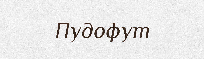 Пудофут — Російсько-український академічний словник (А–П)