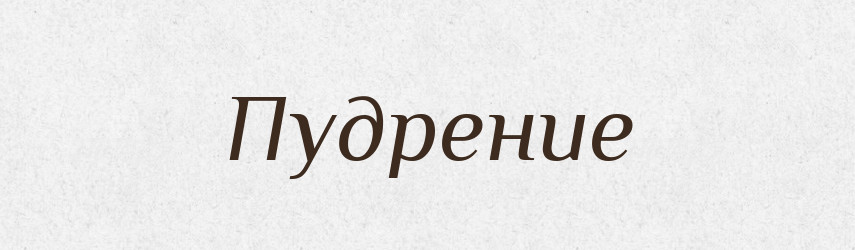 Пудрение — Російсько-український академічний словник (А–П)