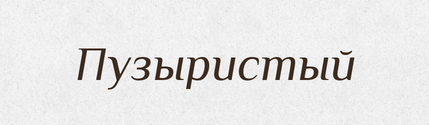 Пузыристый — Російсько-український академічний словник (А–П)