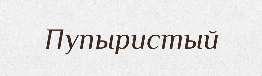 Пупыристый — Російсько-український академічний словник (А–П)