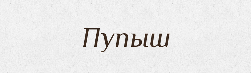 Пупыш — Російсько-український академічний словник (А–П)