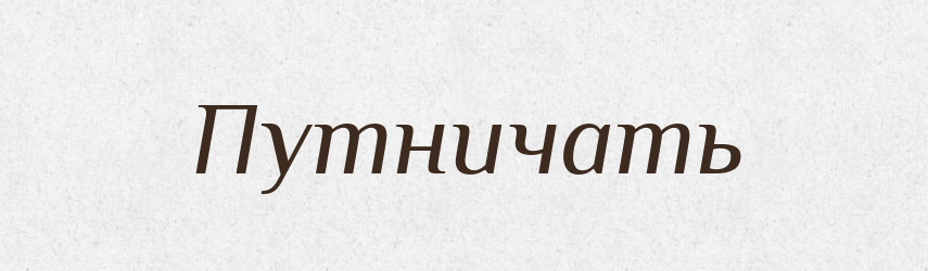 Путничать — Російсько-український академічний словник (А–П)