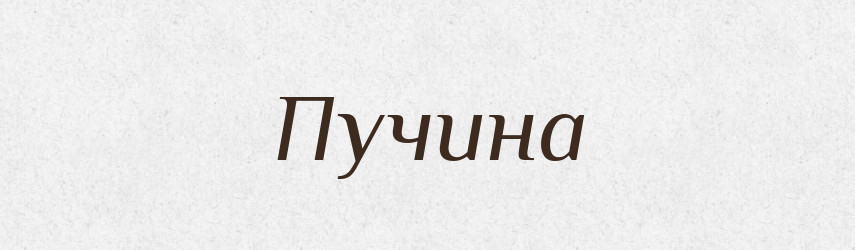 Пучина — Російсько-український академічний словник (А–П)