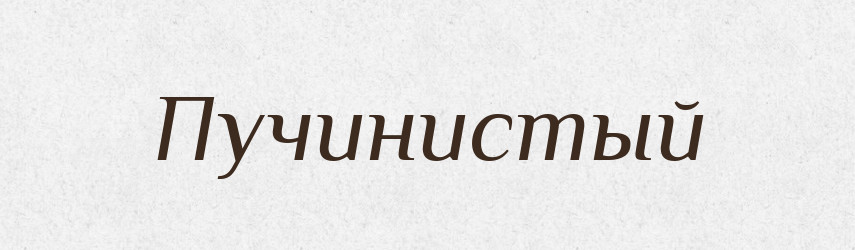 Пучинистый — Російсько-український академічний словник (А–П)