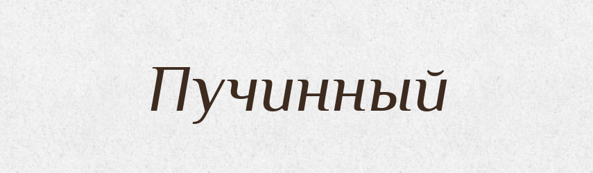 Пучинный — Російсько-український академічний словник (А–П)