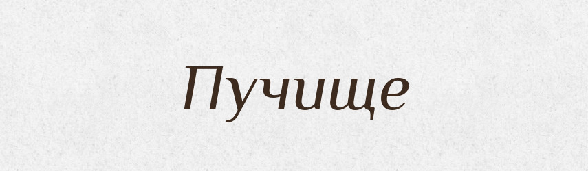 Пучище — Російсько-український академічний словник (А–П)