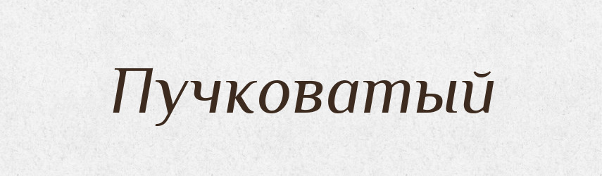 Пучковатый — Російсько-український академічний словник (А–П)