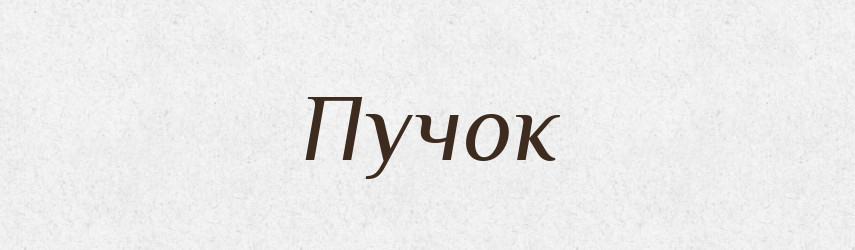 Пучок — Російсько-український академічний словник (А–П)