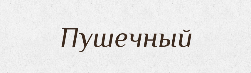 Пушечный — Російсько-український академічний словник (А–П)