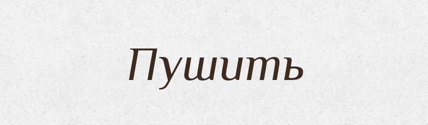 Пушить — Російсько-український академічний словник (А–П)