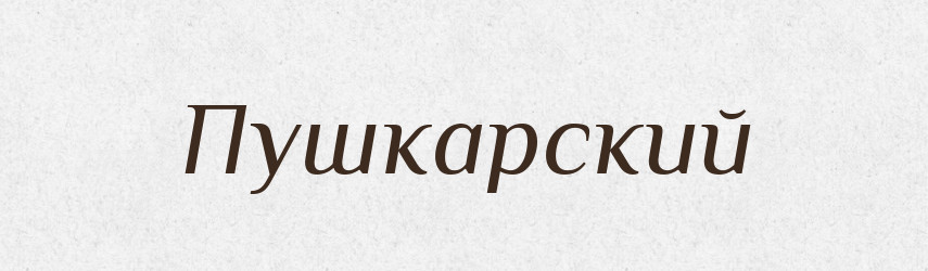 Пушкарский — Російсько-український академічний словник (А–П)