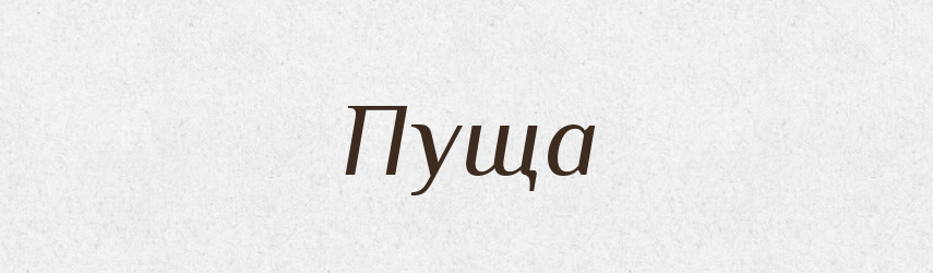 Пуща — Російсько-український академічний словник (А–П)