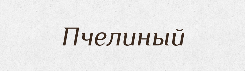 Пчелиный — Російсько-український академічний словник (А–П)