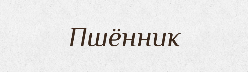Пшённик — Російсько-український академічний словник (А–П)