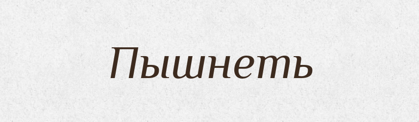 Пышнеть — Російсько-український академічний словник (А–П)