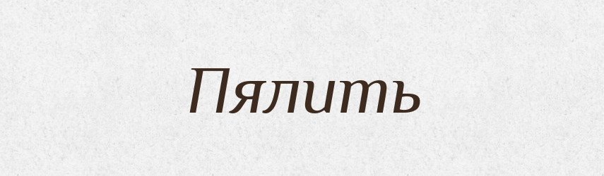 Пялить — Російсько-український академічний словник (А–П)