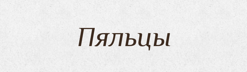 Пяльцы — Російсько-український академічний словник (А–П)