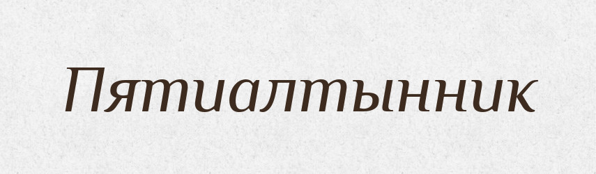 Пятиалтынник — Російсько-український академічний словник (А–П)