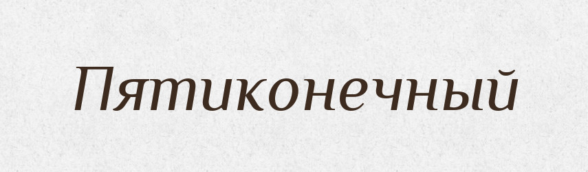 Пятиконечный — Російсько-український академічний словник (А–П)