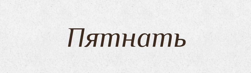 Пятнать — Російсько-український академічний словник (А–П)