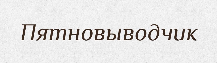 Пятновыводчик — Російсько-український академічний словник (А–П)