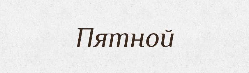 Пятной — Російсько-український академічний словник (А–П)